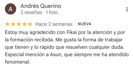 Reseña Google